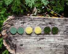 Load image into Gallery viewer, Into Nature Set