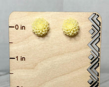 Load image into Gallery viewer, Into Nature Set