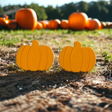 Load image into Gallery viewer, Oh My Gourd Set