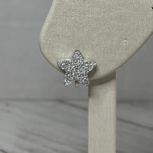 Load image into Gallery viewer, Star Gazer