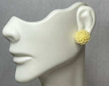 Load image into Gallery viewer, Into Nature Set