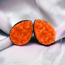 Load image into Gallery viewer, Pumpkin Patch Set