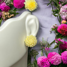 Load image into Gallery viewer, Into Nature Set