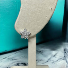 Load image into Gallery viewer, Star Gazer