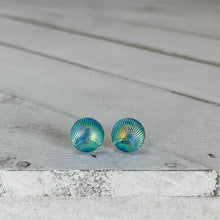 Load image into Gallery viewer, Blue Scallop