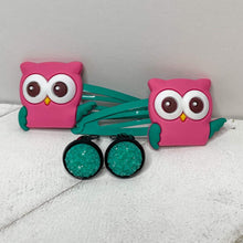 Load image into Gallery viewer, Hoot-iful! Set