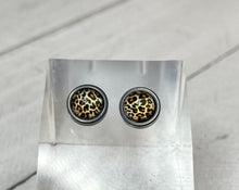 Load image into Gallery viewer, Cool Cat