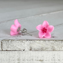 Load image into Gallery viewer, Aloha