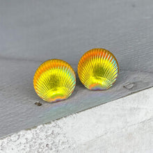 Load image into Gallery viewer, Yellow Scallop