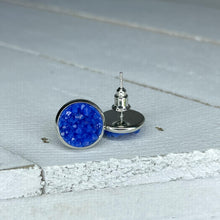 Load image into Gallery viewer, So Regal