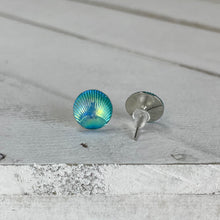 Load image into Gallery viewer, Blue Scallop