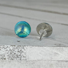 Load image into Gallery viewer, Blue Scallop