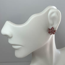 Load image into Gallery viewer, Fall Festival