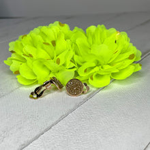 Load image into Gallery viewer, Bodacious Set