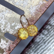 Load image into Gallery viewer, Gold Rush