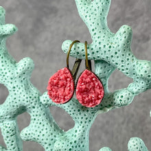 Load image into Gallery viewer, Frenchie