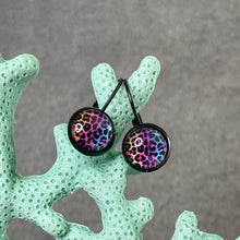 Load image into Gallery viewer, Born To Be Wild