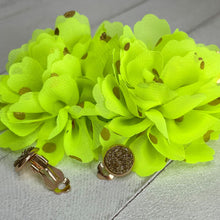 Load image into Gallery viewer, Bodacious Set