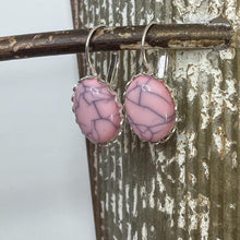 Load image into Gallery viewer, Bashful