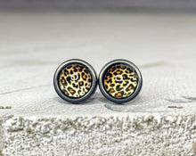 Load image into Gallery viewer, Cool Cat