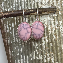 Load image into Gallery viewer, Bashful