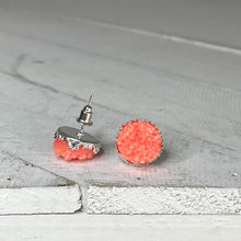 Load image into Gallery viewer, Coral Reef