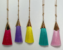 Load image into Gallery viewer, Wild Soul Necklace