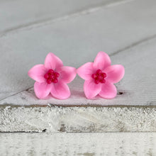 Load image into Gallery viewer, Aloha