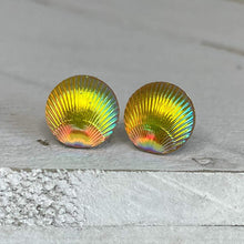 Load image into Gallery viewer, Yellow Scallop