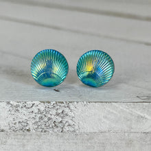 Load image into Gallery viewer, Blue Scallop